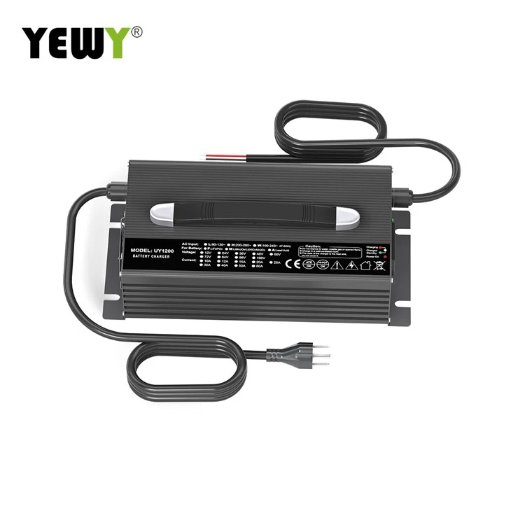 48 Volt Lead Acid Battery Charger best